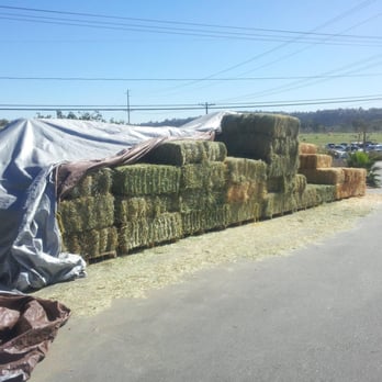 Mary's Tack & Feed - Bales of hay in front in the parking lot. - Pet Stores Near Me - Del Mar, California