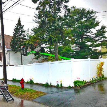 PRO TREE SERVICES - Tree Services Near Me PRO TREE SERVICES - Tree Services Near Me
