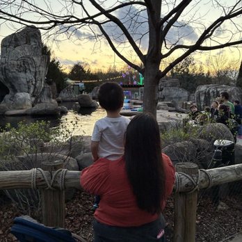 Saint Louis Zoo - Overlooking the seals - Zoos Near Me - St Louis, Missouri