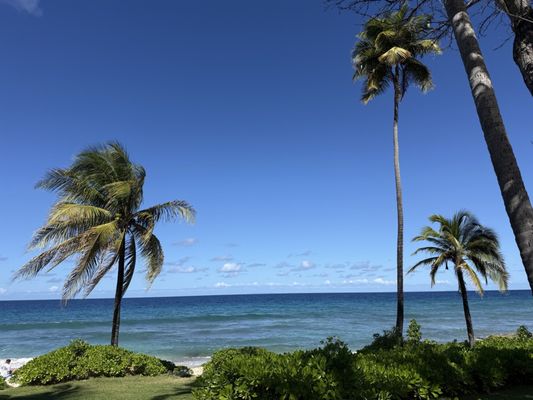 Carambola Beach Resort St. Croix, US Virgin Islands by null