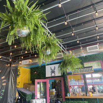 Funcho's - Bar - Mexican Near Me - Riverhead, New York Funcho's - Bar - Mexican Near Me - Riverhead, New York
