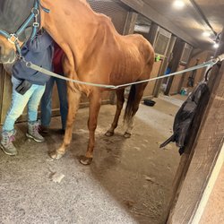Rollin' Jaxx Stables