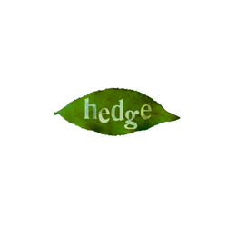 HEDGE