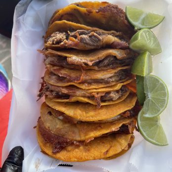 Tacos yo Mama - Fresh order of quesabirrias - Tacos Near Me Tacos yo Mama - Fresh order of quesabirrias - Tacos Near Me