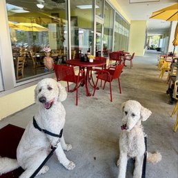 Garth & Pippi at Red Rooster Garth & Pippi at Red Rooster