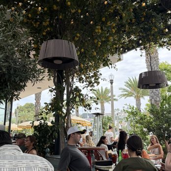 Truly Pizza - Inside - Pizza Near Me - Dana Point, California Truly Pizza - Inside - Pizza Near Me - Dana Point, California