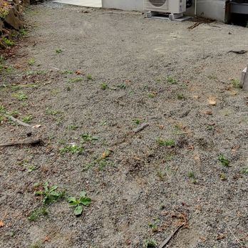 Rios Brick Pavers - Before, what our small yard looked like. - Masonry/Concrete Near Me - Redmond, Washington Rios Brick Pavers - Before, what our small yard looked like. - Masonry/Concrete Near Me - Redmond, Washington