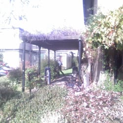 Homerton University Hospital - GRAPE VINE HOMERTON HOSPITAL