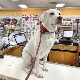 Our Belle LOVES this place!