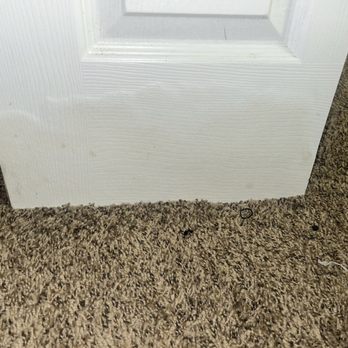 Epic Property Management - outside of the closet that clearly shows the wooded closet has been soaking in the wet carpet due to AC leaking onto my floor - Property Management Near Me - Wyandotte, Michigan