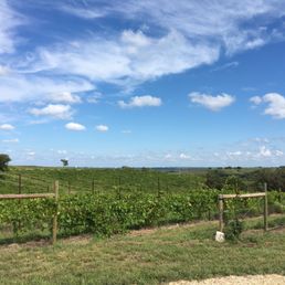 Vineyard view Vineyard view