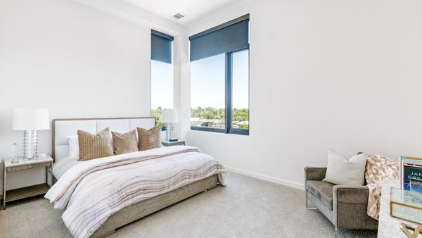 St Paul Collection by null