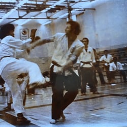 Grandmaster Park Sparring