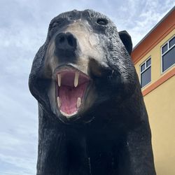 Country Bear General Store - Landmark and photo opportunity outside of Country Bear General Store
