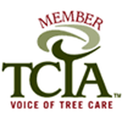 About Trees