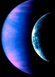 The Venus Effect Logo