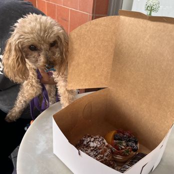 Lavender Bakery & Cafe' - Cafes Near Me - Berkeley, California
