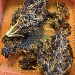 Mission Georgetown Cannabis Dispensary - Menemsha sunset