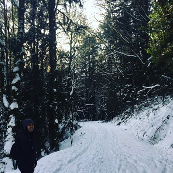 Forest Park - Parks Near Me - Portland, Oregon