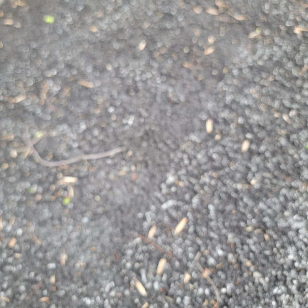 King Armor Asphalt Sealing - granulated texture, some gravel, unsmooth, uneven - Masonry/Concrete Near Me King Armor Asphalt Sealing - granulated texture, some gravel, unsmooth, uneven - Masonry/Concrete Near Me