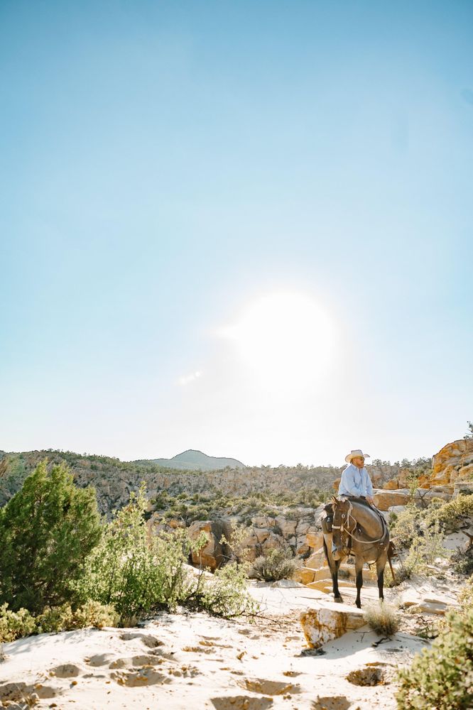 Western Horseback Trail Rides Logo