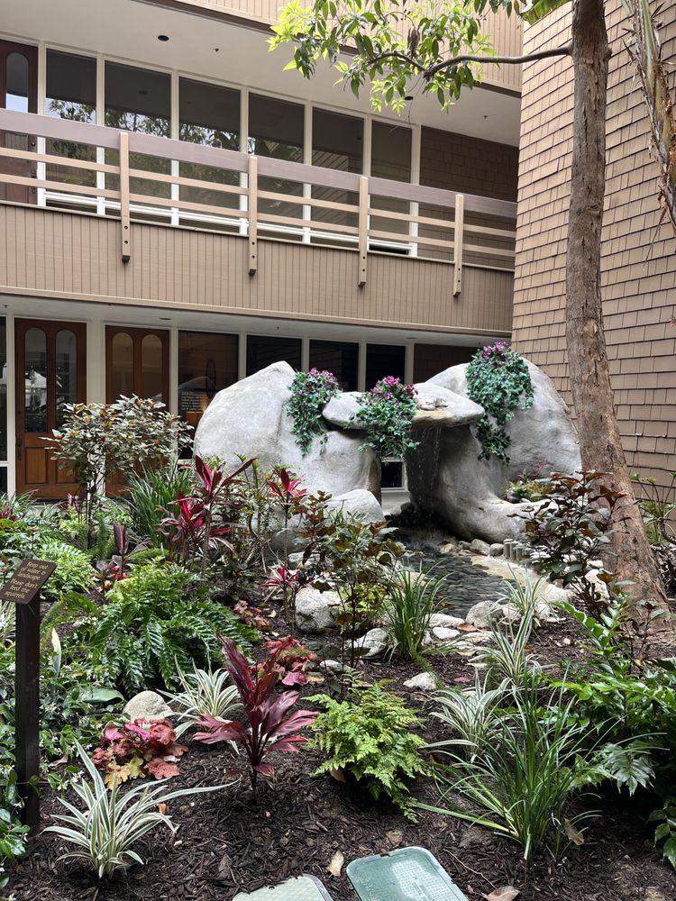 Laura L Steele ,PsyD & Associates - grief counselor in Brea, CA