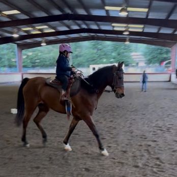 On The Bit - Horseback Riding Near Me - Clayton, California