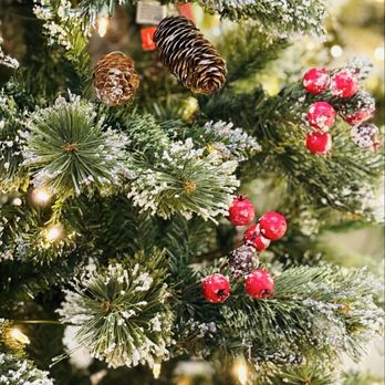 Walmart - Beautiful tree - Department Stores Near Me - Brea, California