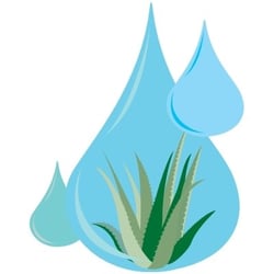 Aquatic Creations Corp. - "just add water"