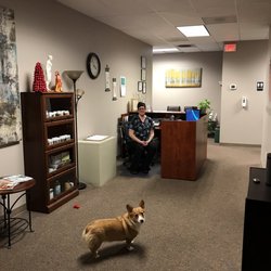 Sanzen Acupuncture and Chinese Medicine - Dr. Kerry and the clinic Corgi Ruby