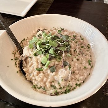 O-Ku - Japanese mushroom farro risotto with truffle - Sushi Bars Near Me - Nashville, Tennessee O-Ku - Japanese mushroom farro risotto with truffle - Sushi Bars Near Me - Nashville, Tennessee