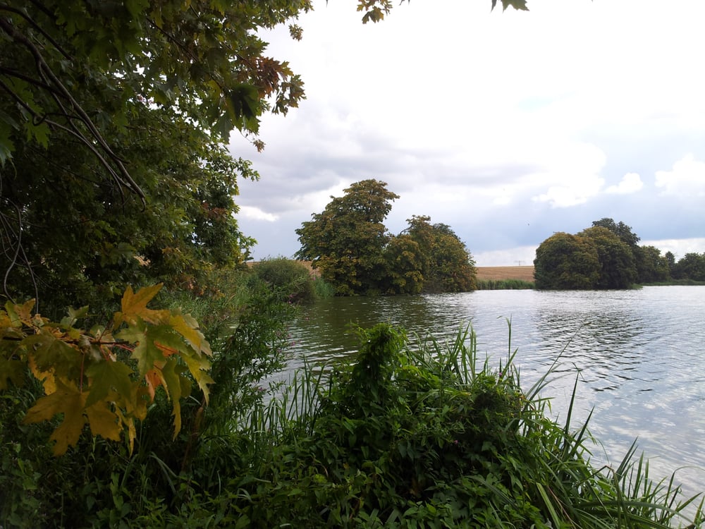 KGA HINTER DEM MÜHLENTEICH WISMAR Flöter Weg 1 e, Wismar, Mecklenburg