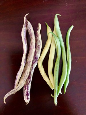 Harvest Community Foods by null