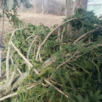 5 Star Services - broken 1st fence-tree laying on top of the fence and it broke - Snow Removal Near Me 5 Star Services - broken 1st fence-tree laying on top of the fence and it broke - Snow Removal Near Me