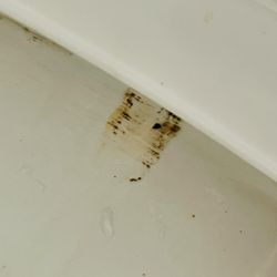 Sleep Inn & Suites - Under the rim, inside the commode.