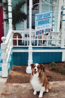 The Famous High Pie at the Top Gun House by null