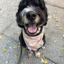 Baltimore Boutique Pet Care
