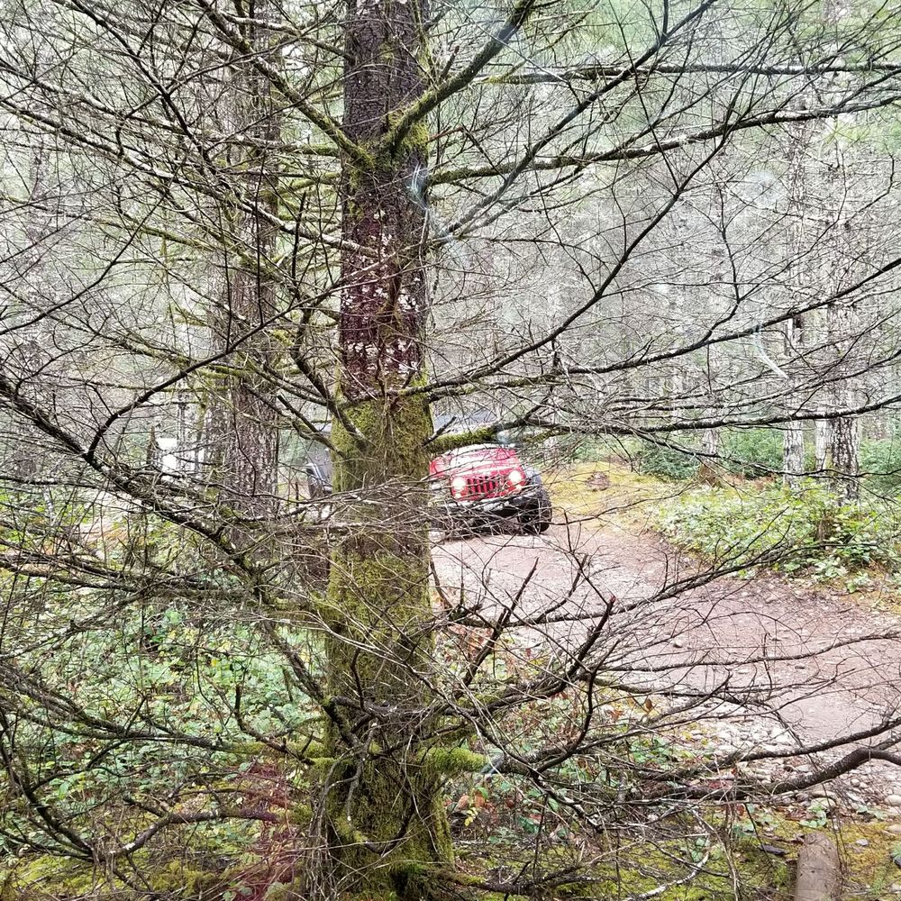 Tahuya State Forest 4x4 Park - Parks Near Me Tahuya State Forest 4x4 Park - Parks Near Me