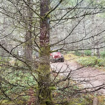 Tahuya State Forest 4x4 Park - Parks Near Me Tahuya State Forest 4x4 Park - Parks Near Me