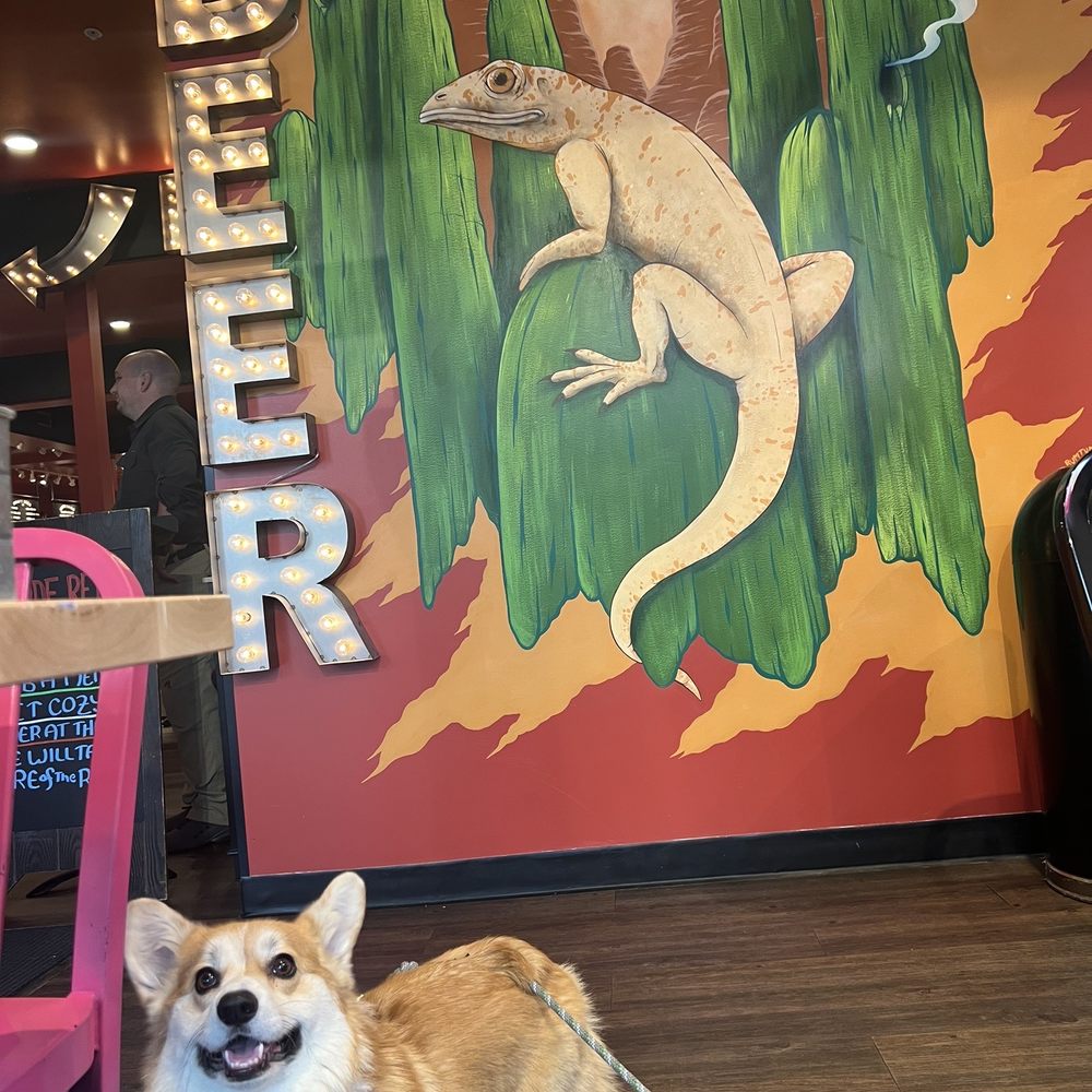 The Dojo - Dog friendly - Cocktail Bars Near Me - Jackson, Wyoming The Dojo - Dog friendly - Cocktail Bars Near Me - Jackson, Wyoming