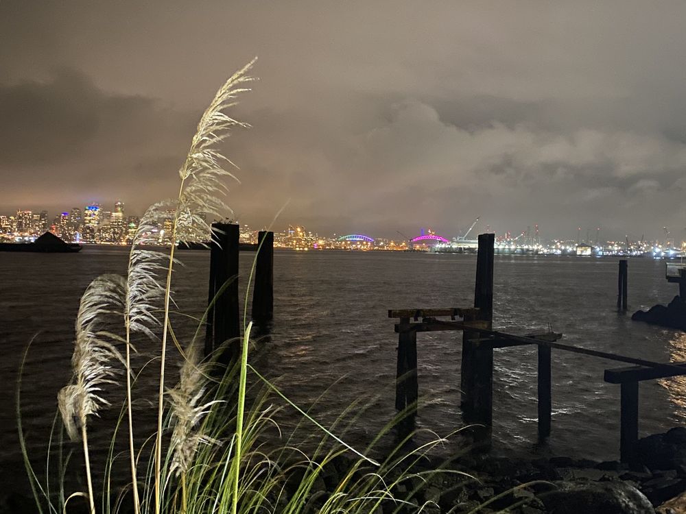 Salty's Waterfront Seafood Grills