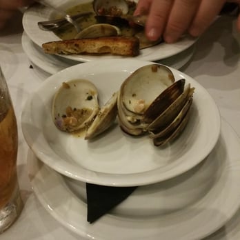 Tarragon - Pernod Steamed Clams - New American Near Me - Millersburg, Ohio Tarragon - Pernod Steamed Clams - New American Near Me - Millersburg, Ohio