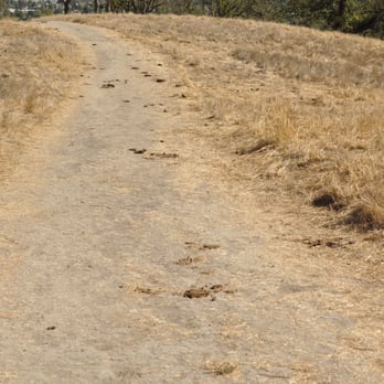 Bishop Ranch Regional Preserve - poop - Hiking Near Me