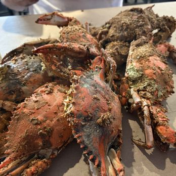 Ocean Pride Seafood - Crabs! - Seafood Near Me - Lutherville, Maryland Ocean Pride Seafood - Crabs! - Seafood Near Me - Lutherville, Maryland