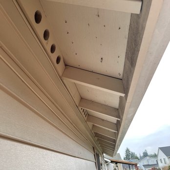Tristate Roofing - Roofing Near Me - Tacoma, Washington Tristate Roofing - Roofing Near Me - Tacoma, Washington