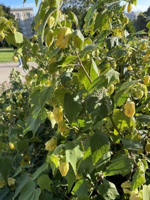 Lafayette Park by null