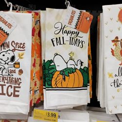 Grocery Outlet - Fall Kitchen Towels  09-17-2024