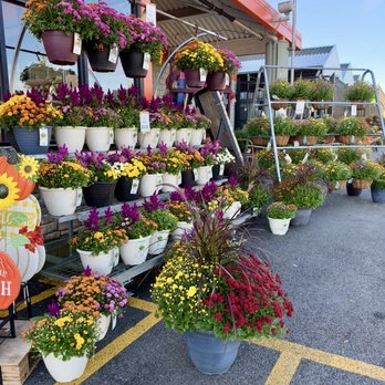 The Home Depot - Outdoor display of Fall plants - Hardware Stores Near Me - Deerfield, Illinois The Home Depot - Outdoor display of Fall plants - Hardware Stores Near Me - Deerfield, Illinois
