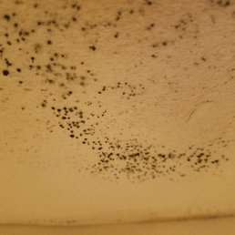 Almost three months, they still haven't fix, thus is mold Almost three months, they still haven't fix, thus is mold
