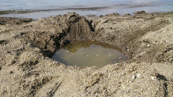 Lake Kussharo by null